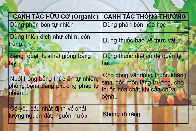 Thực phẩm hữu cơ (Organic) là gì?