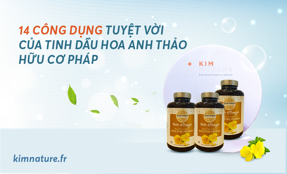 14 công dụng tuyệt vời của tinh dầu hoa anh thảo hữu cơ Pháp