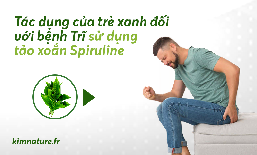 Tác dụng của chè xanh đối với bệnh trĩ  Sử dụng tảo xoắn Spiruline để giảm “Yếu tố nguy cơ gây bệnh trĩ”